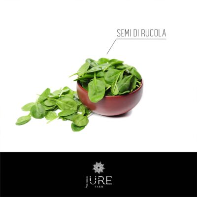 Semi di rucola,Famiglia delle Brassicaceae, Partire dal seme per coltivare la pianta di rucola direttamente nel tuo giardino o sul tuo balcone.