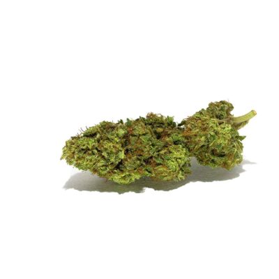 SOUR LEMON HAZE pare vera cannabis light onlien - cbd - cbdv - cbg - La migliore cannabis light online! - cannabis light, infiorescenze, olio CBD, tisane, cibo con semi di canapa, spedizione veloce, Italia, Jure Farm, prodotti, oli CBD, 20% CBD, 10% CBD, CBDA, brand video, prodotto di qualità, cosmetici, merchandising, offerte, fatta al sole, erba legale, migliore