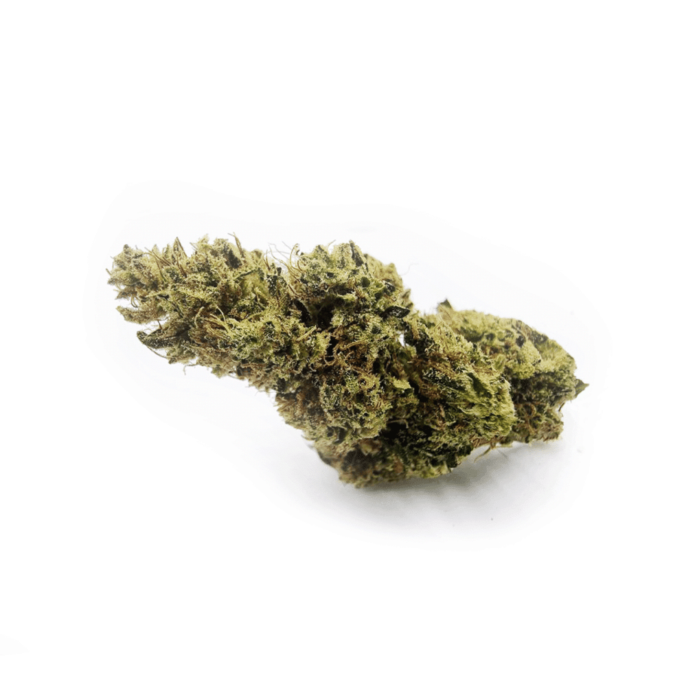 SOUR LEMON HAZE pare vera cannabis light onlien - cbd - cbdv - cbg - La migliore cannabis light online! -