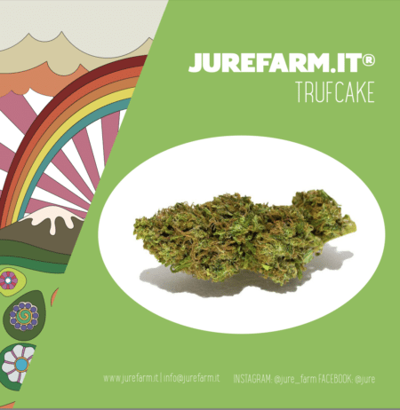 trufcake pare vera - La migliore cannabis light online! - cannabis light, infiorescenze, olio CBD, tisane, cibo con semi di canapa, spedizione veloce, Italia, Jure Farm, prodotti, oli CBD, 20% CBD, 10% CBD, CBDA, brand video, prodotto di qualità, cosmetici, merchandising, offerte, fatta al sole, erba legale, migliore.