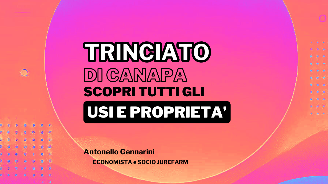 "Trinciato di canapa: Scopri i suoi Usi e Proprietà".