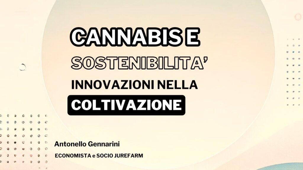 Cannabis e Sostenibilità Ambientale