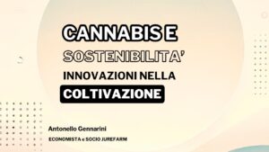 Cannabis e Sostenibilità Ambientale