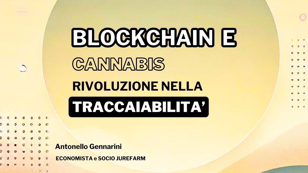 Blockchain e Cannabis: Rivoluzione nella Tracciabilità e Trasparenza del Mercato