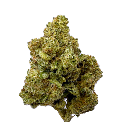 Dulce de Gasoline 2026